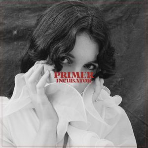 ゴムをつけてといいましたよね英文
